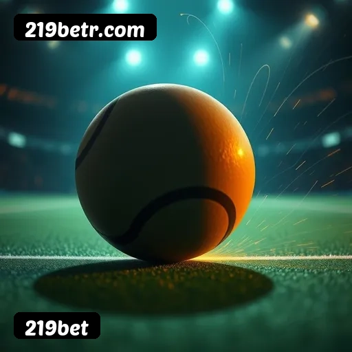 Comparação APP mobile vs versão web da 219bet