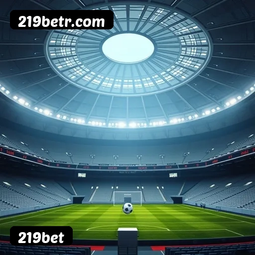 Principais provedores de slots da 219bet - NetEnt, Pragmatic Play, Play'n GO